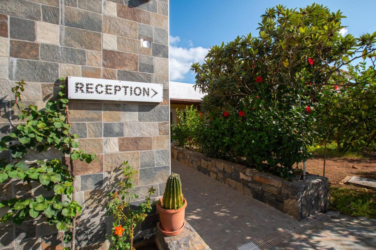 Villa Medusa Hersonissos  Exterior foto