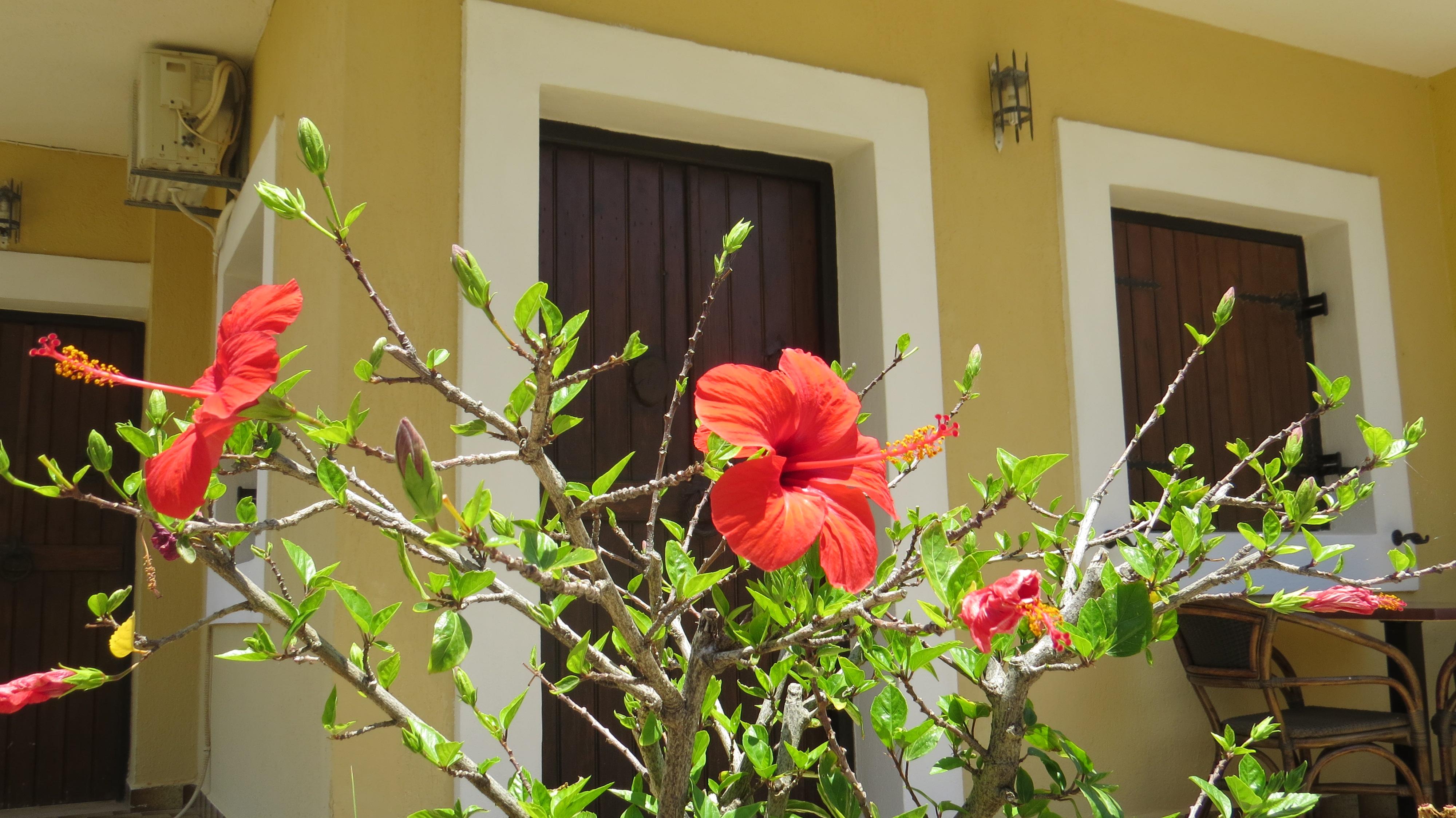 Villa Medusa Hersonissos  Exterior foto